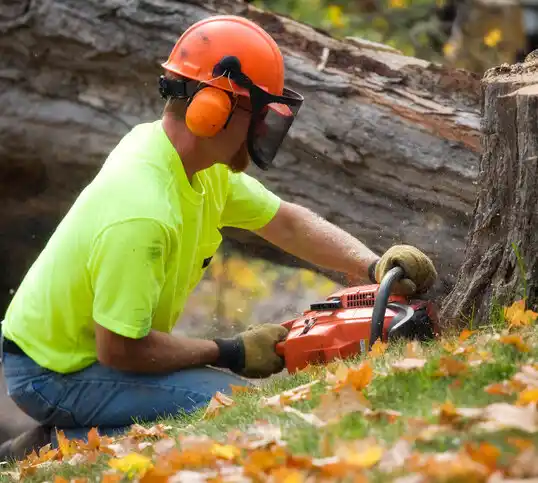 tree services Kentucky